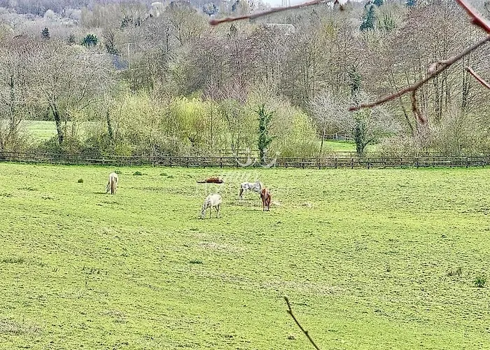 Villa Touquaise Yourhosthelper Touques